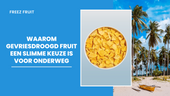 Waarom gevriesdroogd fruit een slimme keuze is voor onderweg - gevriesdroogde fruit